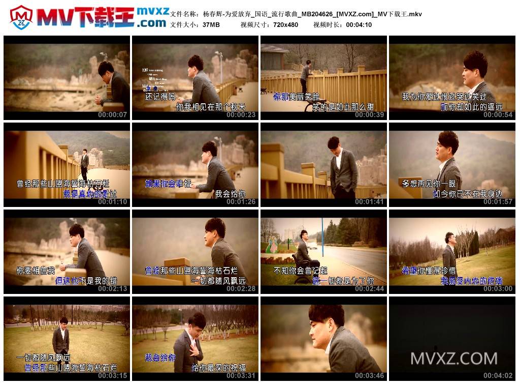 杨春辉-为爱放弃_国语_流行歌曲_MB204626